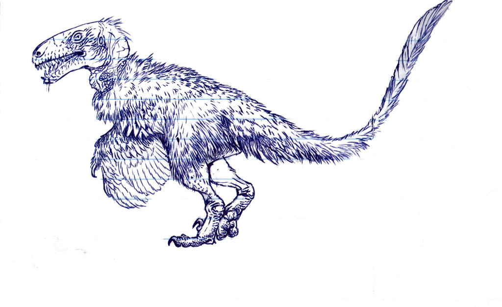 Utah Raptor Outlines Utahraptor school sketch by Xiphactinus on DeviantArt
