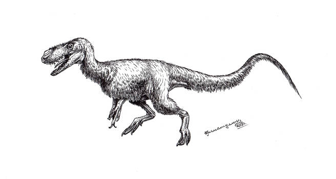 Stokesaurus Explore the Best Stokesosaurus Art | DeviantArt