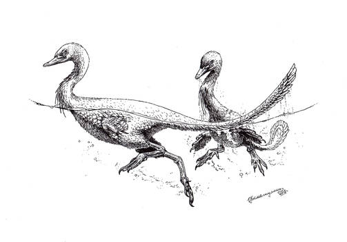 Halszkaraptor escquillei