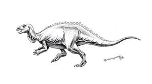 Camptosaurus dispar