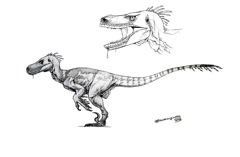 JP Velociraptor - my version by Xiphactinus on DeviantArt