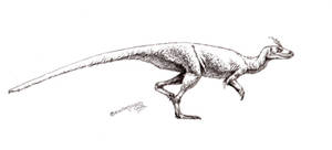 Lesothosaurus diagnosticus