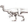 Plateosaurus engelhardti