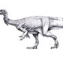 Plateosaurus engelhardti patterned