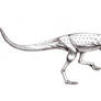 Elaphrosaurus bambergi