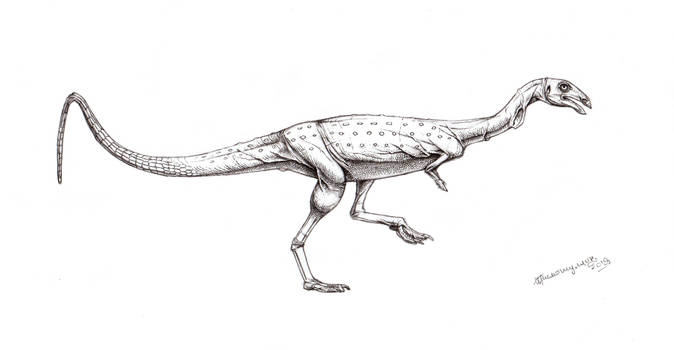 Explore the Best Elaphrosaurus Art | DeviantArt