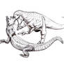 A gift - Ceratosaurus hunts Amphicotylus