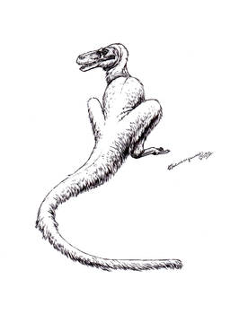 Eotyrannus lengi