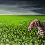 Allosaurus jimmadseni in fern prairie
