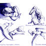 Paleostream drawings 20.06.2020