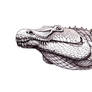 Rugarhynchos sixmilensis