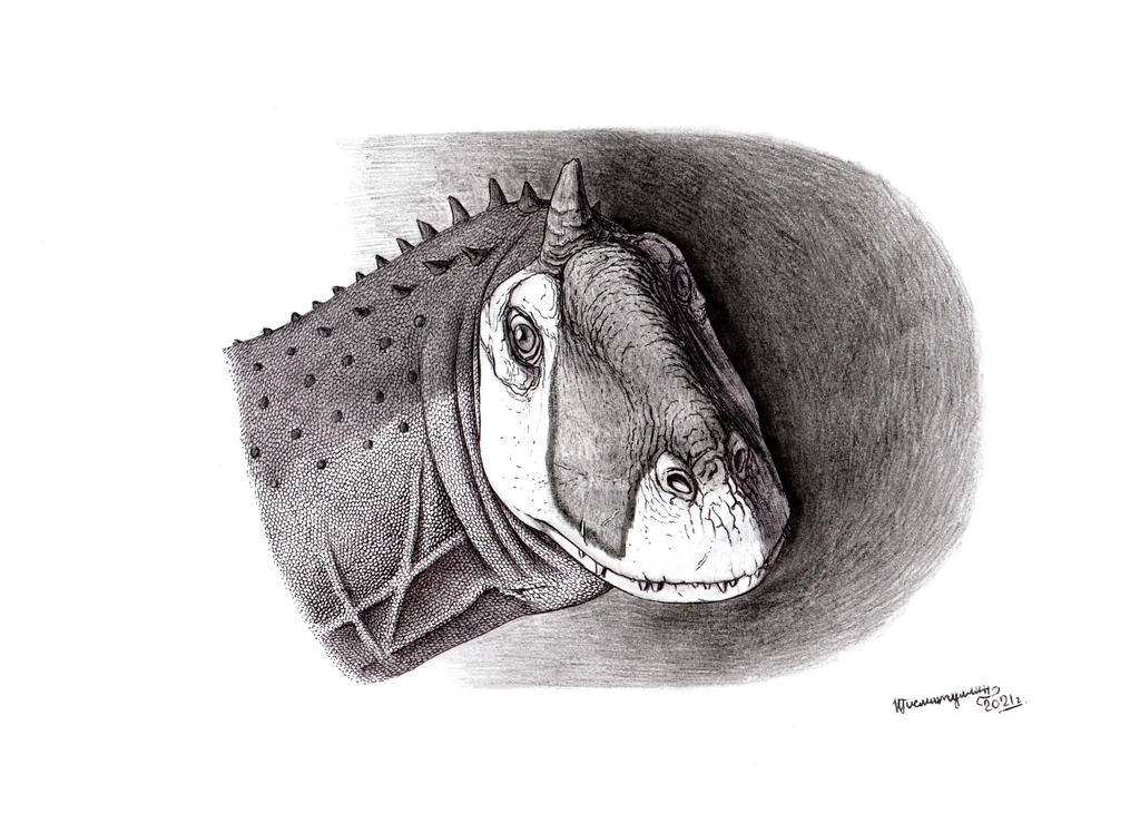 Majungasaurus crenatissimus bust