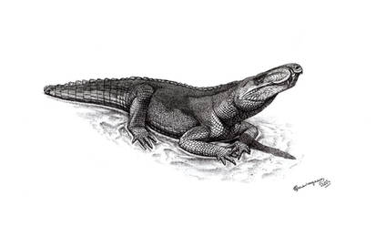 Aplestosuchus sordidus