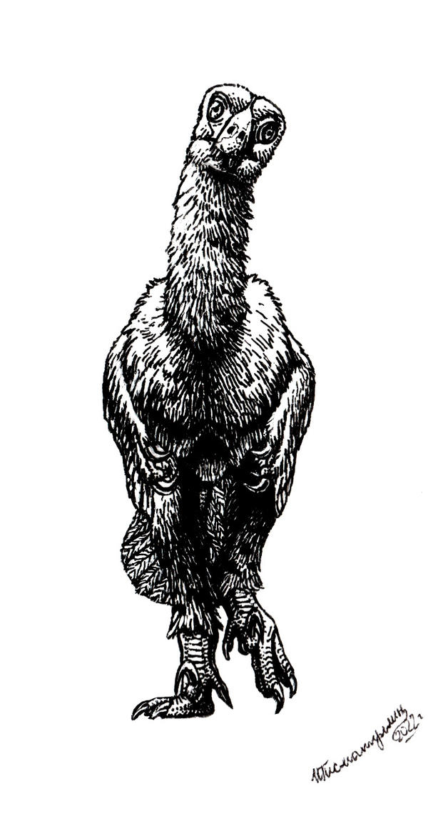 Kuru kulla by Xiphactinus on DeviantArt