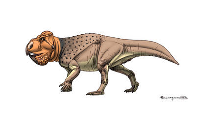 Udanoceratops tschizhovi