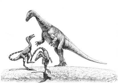 Riojasaurus and Powellvenator
