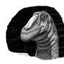 Sarmientosaurus musacchioi portrait