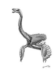 Gallimimus bullatus