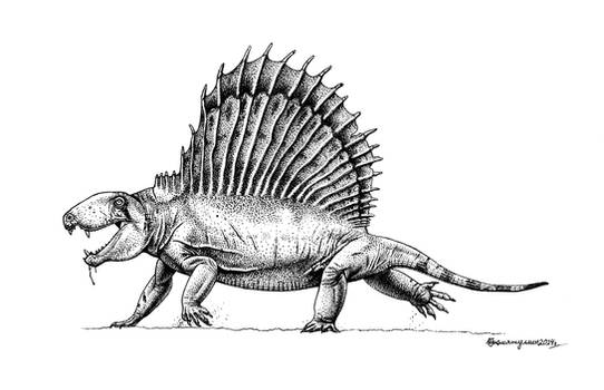 Dimetrodon grandis