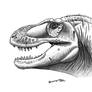 Tyrannosaurus mcraeensis