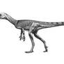 Chindesaurus bryansmalli