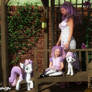 My Little Pony: Sweetie Belle