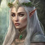 Portrait of Elven Queen 