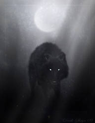 Wolf of winter night