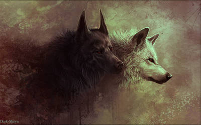 Two by Dark-Sheyn
