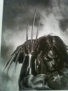 The WOLVERINE: UNLEASHED FURY