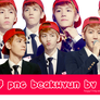 19013 Pack Png BeakHyun By Miu