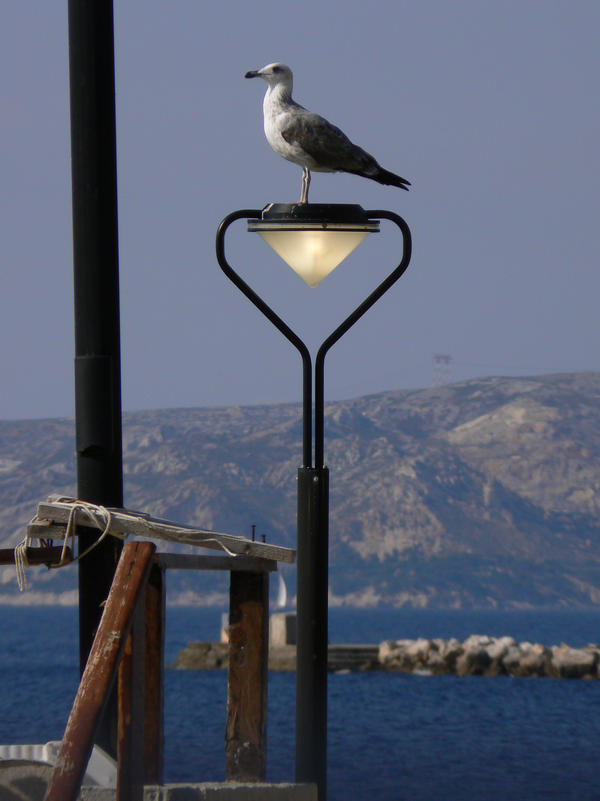 La sentinelle