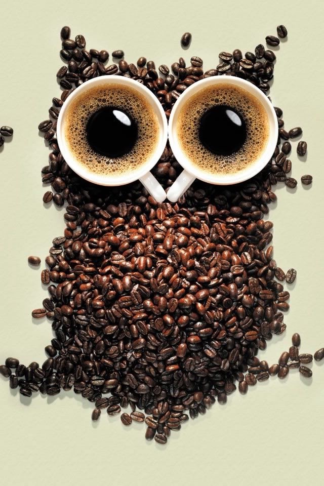 Owl of coffee