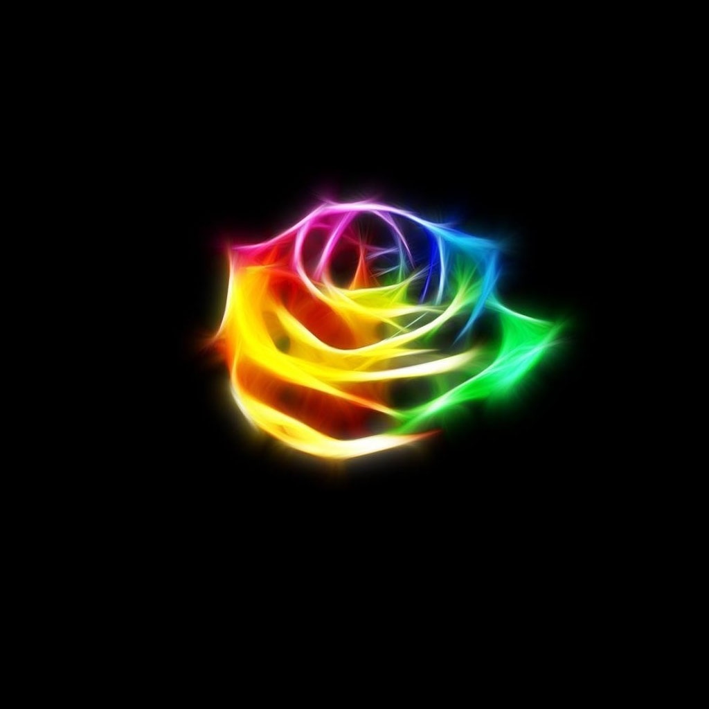 Rose of colors