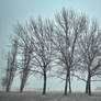 Foggy morning in Ponferrada