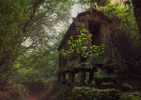 A Casa da Peste