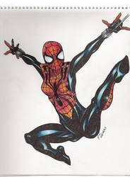 an old picture spider women