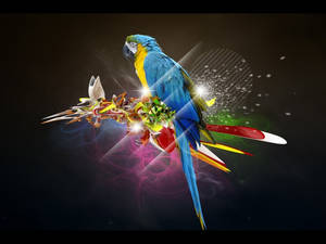 Cj Comu | Birds-parrot-art