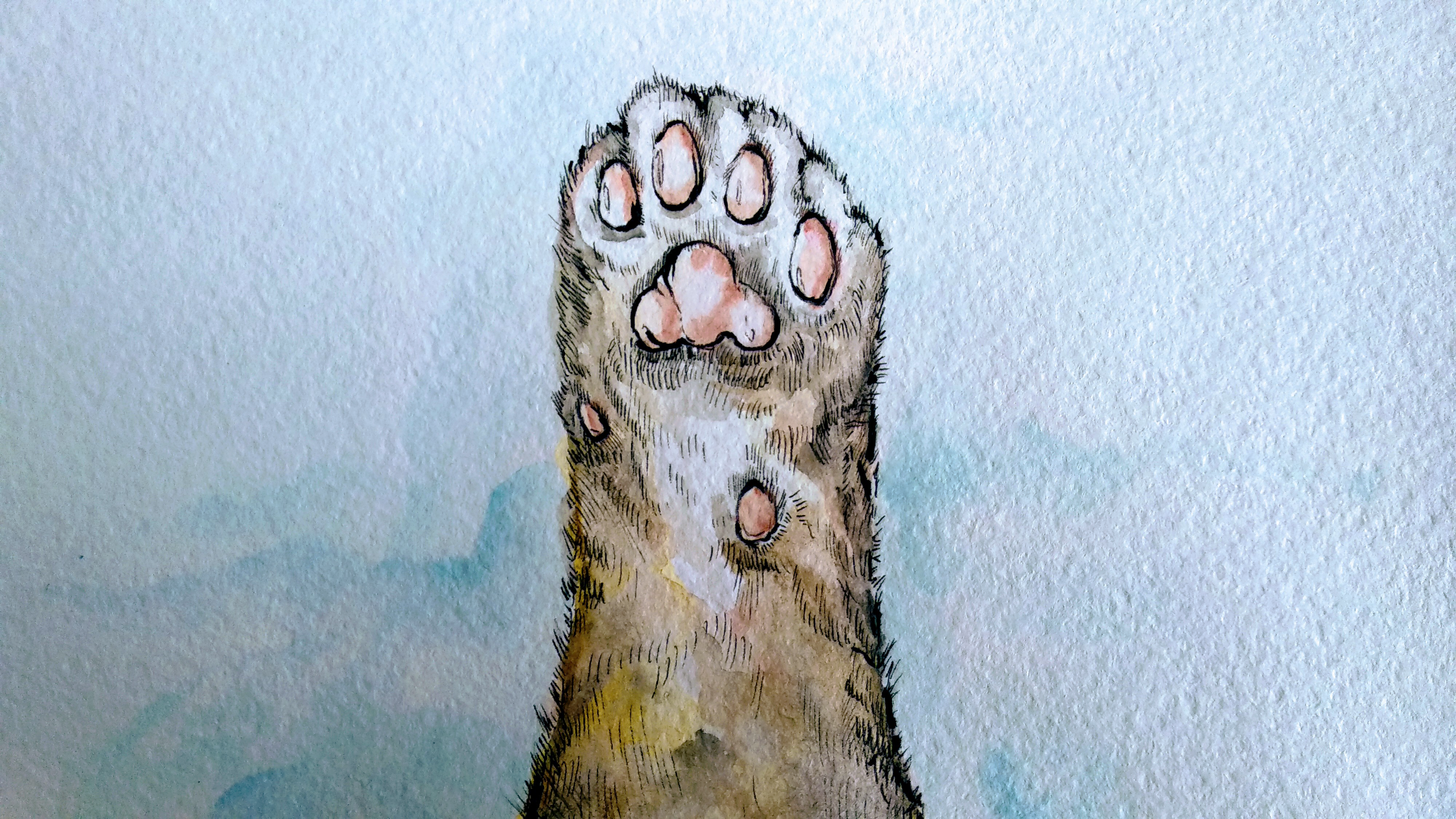 Cat's Paw Watercolor