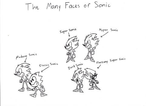 The many types of Sonic