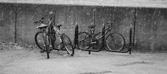 Black and White Bikes