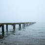 Fog 3