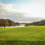 Meadow 4
