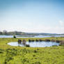 Lake 17