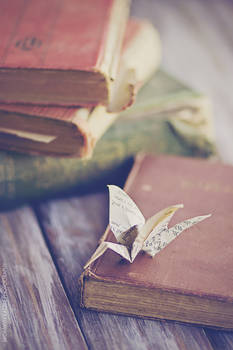 Paper Crane