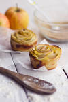 Apple Rosettes by BronKatzke