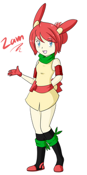 PMD- Gijinka Zam