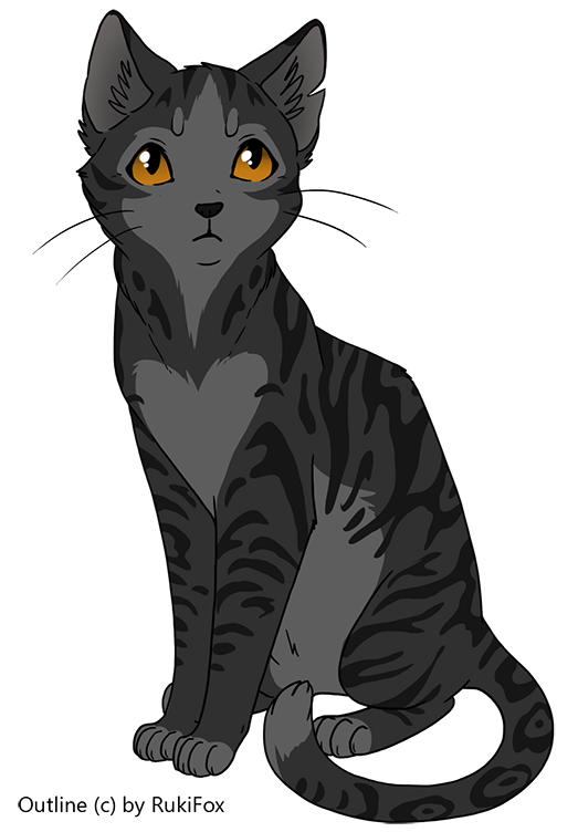 Warrior Cats The Game (Xbox One) by seahawkslover152 on DeviantArt