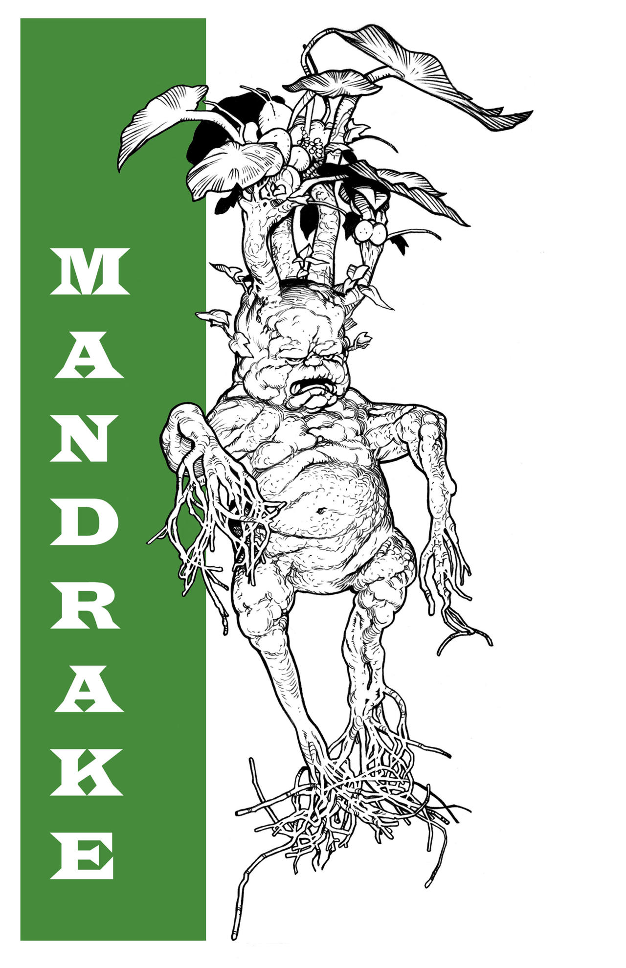 HARRY POTTER MANDRAKE by JeromeKMoore on DeviantArt