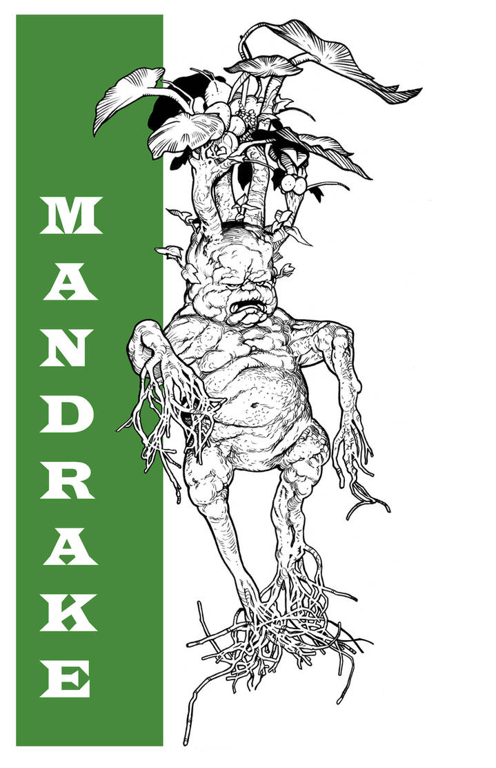 HARRY POTTER: MANDRAKE by Jerome-K-Moore on DeviantArt